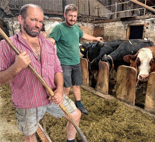 Einige Dutzend Milchkühe versorgt Landwirt Martin Ranner (von links) in seinem Stall in Willing bei Bad Aibling, dem sein Neffe Sepp Huber gerne hilft. Aufgrund der Dürre im Sommer spürt auch er die Futterknappheit. Kotter