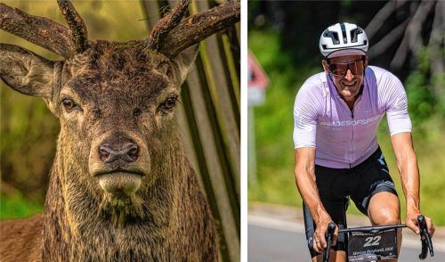 Ex-Radsportler Marcus Burghardt ordnet Wahrscheinlichkeit für Wildunfälle am Rad ein. Marcus Burghardt