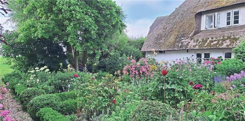 Hallig-Heimat: Katja Just liebt ihr Haus und den Garten. Davon erzählt auch ihr neues Buch „Gegenwind auf dem Sommerdeich“ (Knaur, 19 Euro). KATJA JUST, KNAUR VERLAG, IMAGO/ZOONAR,IMAGEBROKER