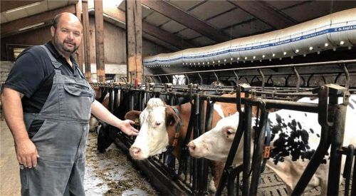 Kreisobmann Sepp Andres und seine Kollegen stehen vor einer neuen Herausforderung: In der Region breitet sich das Shamonda-Virus aus. Heike Duzcek