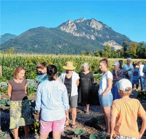 Mitten im Gemüsefeld am Fuß des Heubergs: Rund 25 Mitglieder des Obst- und Gartenbauvereins Nußdorf informierten sich bei Katrin Mayer über den Anbau von Gemüse und Blumen und erhielten praktische Tipps für den eigenen Garten. Obst- und Gartenbauverein Nußdorf