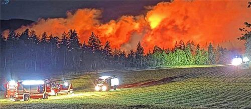 Moorbrand am Chiemsee (Foto), Waldbrände in Unterwössen oder am Saurüsselkopf in Ruhpolding – in diesem Jahr gab es bislang eine Häufung von Feuerwehreinsätzen.KFV Traunstein