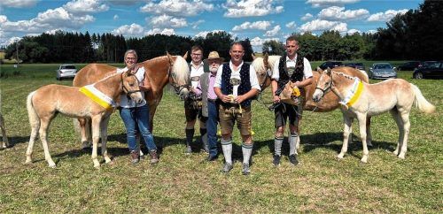 Sabine Grandauer, Christian Brunner, Wolfgang Grandauer sen., Sebastian Grandauer und Thomas Himmelstoß (von links) sind erfolgreich beim Oberbayerischen Haflinger-Fohlenchampionat zu sehen, zusammen mit den beiden Stuten und ihren als erste und zweite Reservesiegerin ausgezeichneten Fohlen aus der Grandauer-Zucht. Familie Söllner