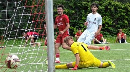 Tor für die U19-Mannschaft des TSV 1860 Rosenheim im Heimspiel gegen Schwaben Augsburg.TSV 1860