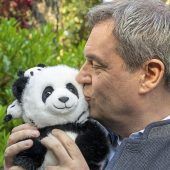 Kritik an Söders teuren Pandas