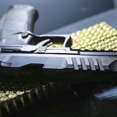 Was bei Waffen- kontrollen geprüft wird