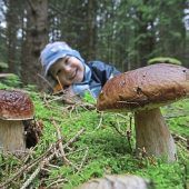Neue Hoffnung für Schwammerlsucher