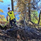 Klimawandel: Staatsforsten in Sorge