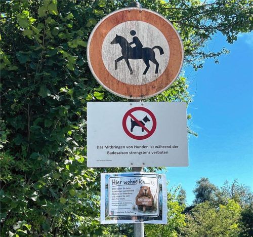 Am Waldsee in Schechen sind Pferde generell und Hunde in der Badesaison verboten. Müssen Hunde nun das ganze Jahr über weichen, weil der Biber hier wohnt? Kathrin Gerlach