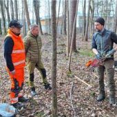 Aktionen gegen krumme Wurzeln