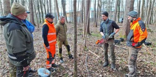 Damit Bäume im Wald gedeihen, muss man einiges beachten, wie Christian Thaler (AELF, Mitte) und Tobias Glück (WBV, rechts) jüngst in Waging zeigten. AELF Traunstein