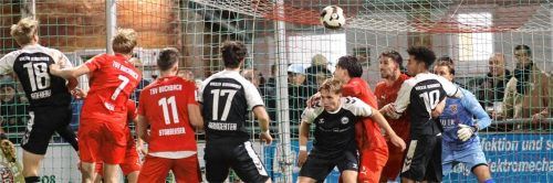 Der Führungstreffer für Wacker durch Adrian Hofherr (ganz links).Michael Buchholz