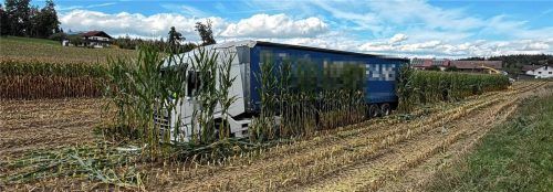 Geschafft: Bis auf wenige Pflanzen direkt am Lkw wurde der spanische Sattelschlepper erfolgreich aus dem Maisfeld „rausgebissen“. Markus Steinberger / Einsatzreport24