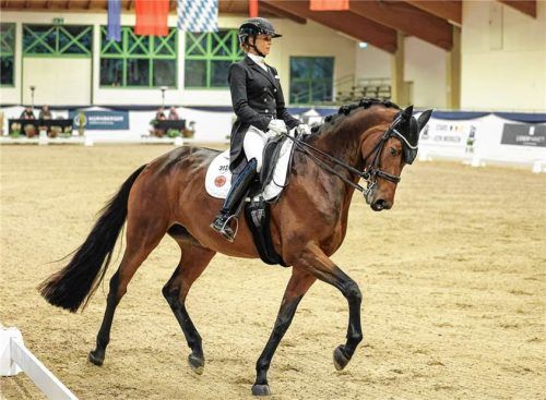 Jessica von Bredow-Werndl (RFV Aubenhausen) gewann sowohl den Grand Prix de Dressage als auch die Grand Prix Kür.Hans Weitz