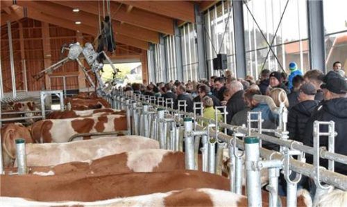 Josef Grandl, der Vorsitzende des Verbandes für landwirtschaftliche Fachbildung Rosenheimer Land, begrüßte die Gäste vor dem Stall. Wolfgang Hampel