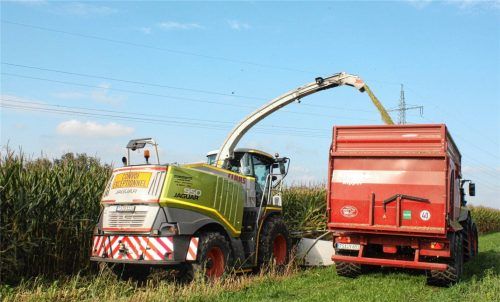 Letzte Maisfelder werden derzeit noch abgeerntet. Links häckselt die Erntemaschine den Mais und bläst das Erntegut in den Anhänger. AELF Traunstein