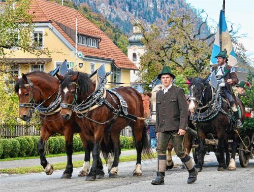 Mit prächtigen Gespannen, Pferden und teilnehmenden Traditionsvereinen beeindruckte die 181. Leonhardifahrt die zahlreichen Besucher in Niederaudorf. Auch das Wetter passte. Schmidt
