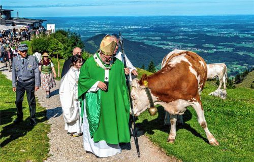 Tierischer Empfang für den Kardinal: Beim Einzug zur 75. Gedenkmesse bekam Kardinal Reinhard Marx vor wenigen Wochen wenige Meter vor der Steinlingkapelle unerwarteten Besuch. Eine Kuh trat an den Weg und suchte seine Nähe – fast, als wolle auch sie um seinen Segen bitten. Nitzsche