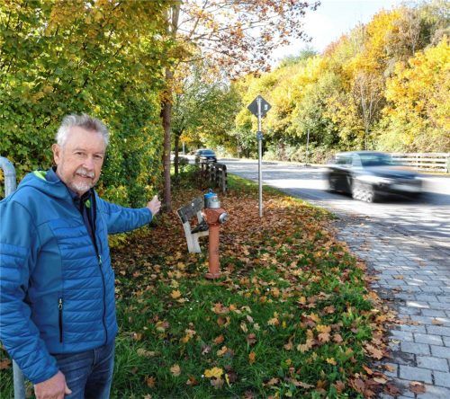 Unübersichtlicher Straßenverlauf und dichte Sträucher. SPD-Stadtrat Ludwig Spirkl setzt sich für eine Geschwindigkeitsbegrenzung an der Hörberinger Straße ein.  Enzinger
