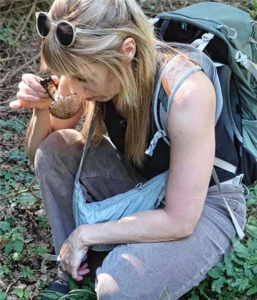 Welcher Pilz ist das? Katharina Artmann nutzt neben dem Auge auch Finger und Nase, um die Schwammerl zu bestimmen. Hier riecht sie am „Spitzschuppigen Stachelschirmling“. Sophie Mischner