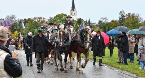 Zahlreiche Gespanne zogen vor der Kulisse des Kirchturms an den wetterfesten Zuschauern vorbei. Schlecker