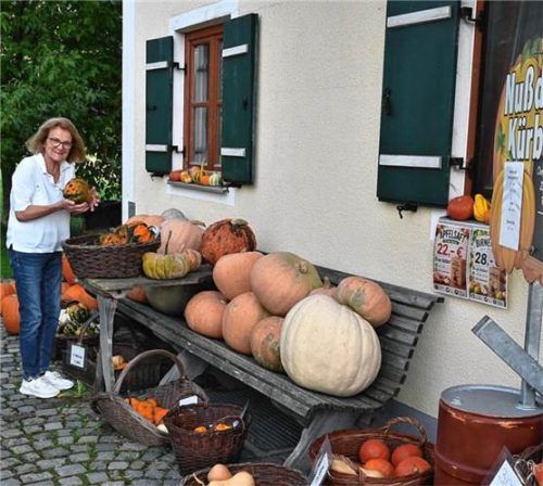 Zahlreiche verschiedene Kürbisarten werden auf dem Zoana-Hof bei Nußdorf zum Verkauf angeboten. Schlecker